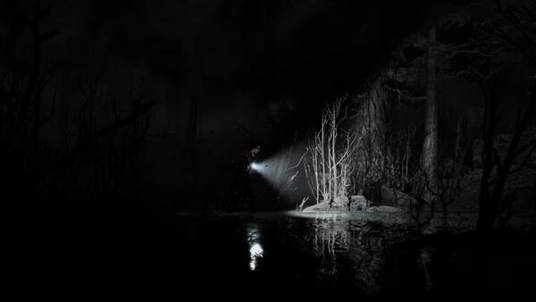 Silver Pines screenshot: a flashlight beam cuts through dark woods, lighting bare trees and water.