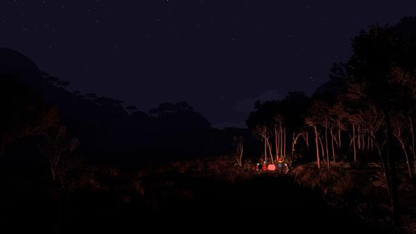 Big Walk screenshot showing a small campfire glowing red among dark trees under a starry night sky.