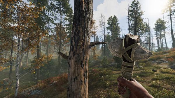 RUST screenshot: A player holds a stone hatchet, facing a tree in a sunlit forest, ready to gather resources.