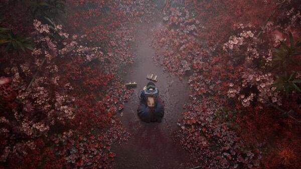 Screenshot from SILENT HILL f: Overhead view of a character kneeling on a path surrounded by dense, red foliage.
