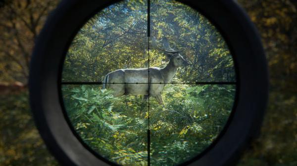 A screenshot from The Hunter Call of the Wild showing a deer in a forest, seen through the crosshair of a hunting scope.