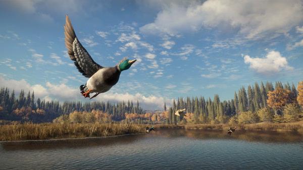Screenshot from The Hunter Call of the Wild showing ducks flying over a tranquil lake surrounded by trees and a clear blue sky.