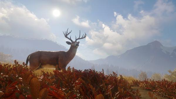A screenshot from The Hunter Call of the Wild shows a deer standing in a field with mountains and a bright sky in the background.