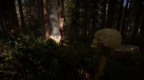 Screenshot from Sons Of The Forest showing a dense forest with a skull on a stake and a campfire in the background.