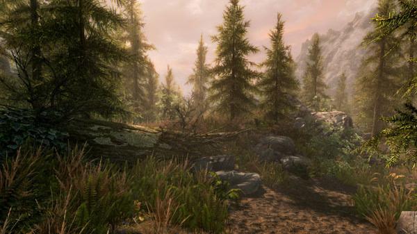 A screenshot from The Elder Scrolls V: Skyrim Special Edition showing a serene forest scene with trees, grass, and a fallen log.