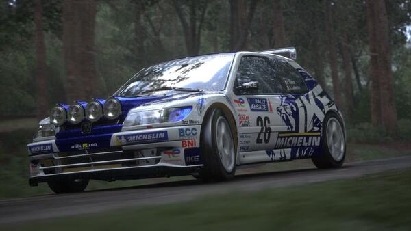 Screenshot of Assetto Corsa Rally showing a rally car with number 26 speeding on a forested dirt track.