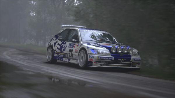 Assetto Corsa Rally screenshot showing a detailed rally car racing through a misty forest on a wet dirt road.