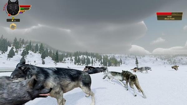 Screenshot from WolfQuest: Anniversary Edition showing a pack of wolves in snowy terrain under a cloudy sky.
