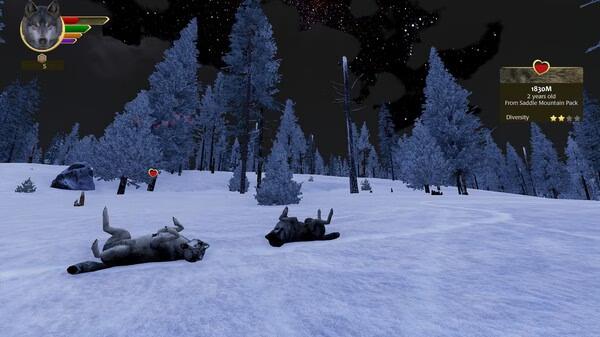 Screenshot from WolfQuest: Anniversary Edition shows two wolves playfully rolling in the snow under a starlit sky.