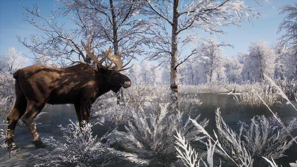Screenshot from Medieval Dynasty showing a moose standing in a snowy forest landscape under a clear blue sky.
