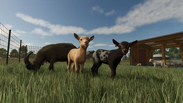 Farming Simulator 25 screenshot: Two goats stand in a grassy field near a wooden shelter, under a clear blue sky.