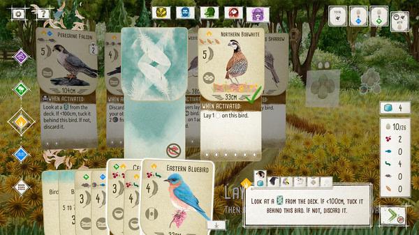 Wingspan screenshot showing bird cards like Eastern Bluebird and Northern Bobwhite, with gameplay instructions in the foreground.