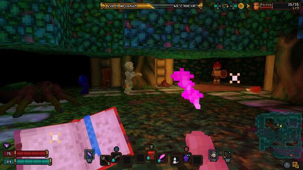 Barony screenshot: A player wields a glowing pink weapon while facing enemies, including a spider and skeleton, in a dungeon-like area.