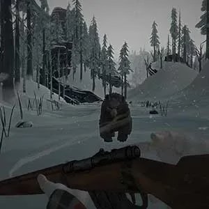 The Long Dark Survival