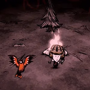 Don't Starve Together Base Building