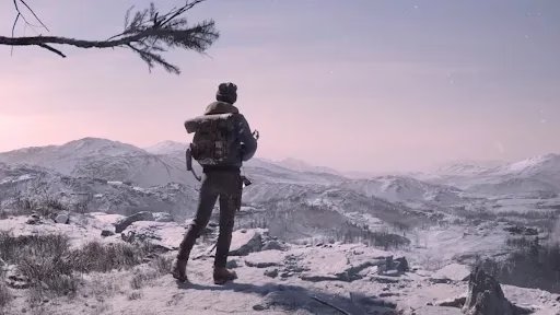 State of Decay 3 environment