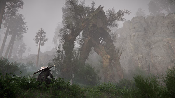 Crimson Desert screenshot: A warrior faces a towering, tree-like creature amidst a misty, dense forest with rocky cliffs in the background.