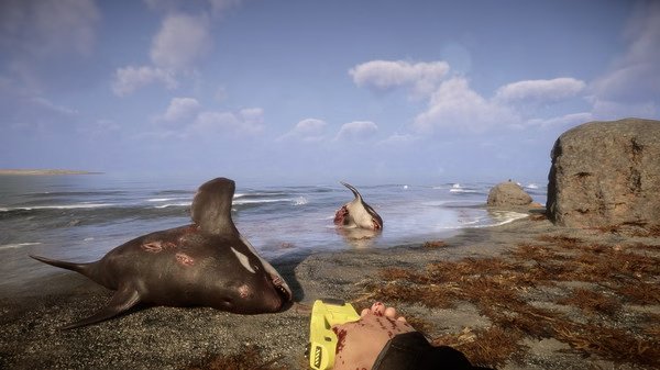 Screenshot from Sons Of The Forest showing a beach scene with dead sharks, a yellow object, and a player's bloodied hand in view.