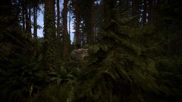 A dense forest scene with trees and bushes from the game Sons Of The Forest, showcasing the wilderness in this game screenshot.