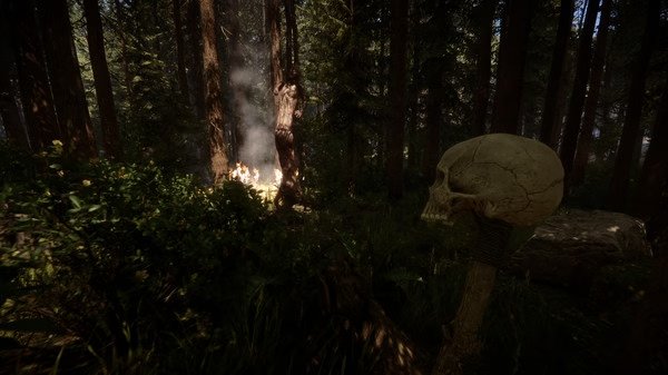 Screenshot from Sons Of The Forest showing a dense forest with a skull on a stake and a campfire in the background.