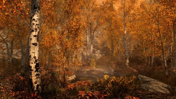Screenshot from The Elder Scrolls V: Skyrim Special Edition showing a serene autumn forest with birch trees and orange foliage.