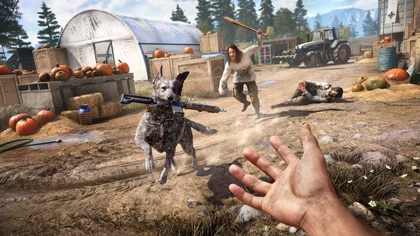 Screenshot from Far Cry® 5 showing a dog carrying a weapon while a person chases it with a stick in a pumpkin-filled farm.