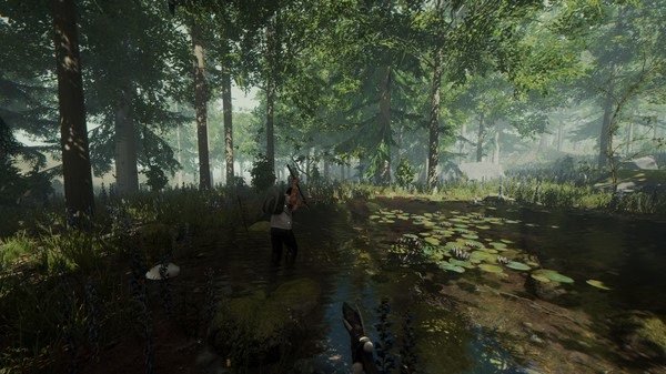 The Forest screenshot: A player wades through a lush, sunlit forest pond surrounded by dense foliage and trees.