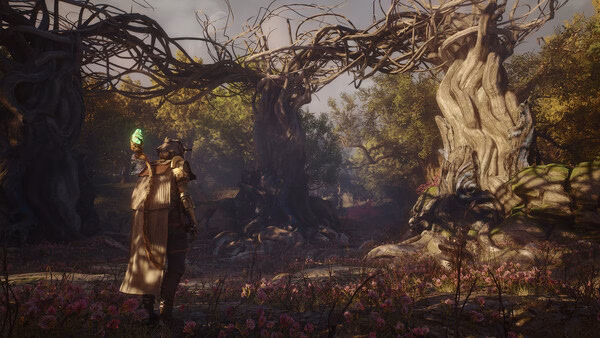 Soulframe screenshot: A character in a cloak holds a glowing object, surrounded by twisted, ancient trees in a mystical forest.