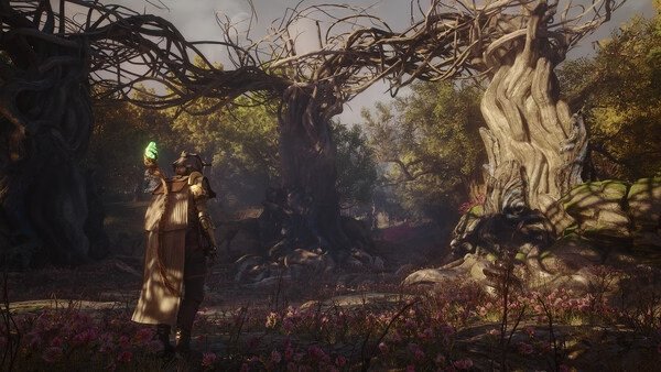 Soulframe screenshot: A character in a cloak holds a glowing object, surrounded by twisted, ancient trees in a mystical forest.