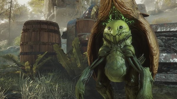 Soulframe screenshot featuring a detailed green creature resembling a turtle amidst barrels and foliage in a forest setting.