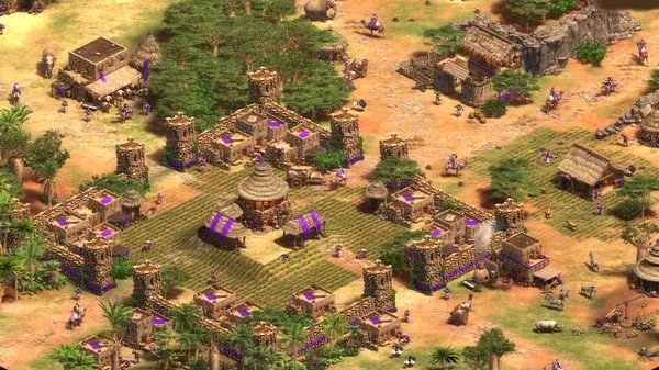 A screenshot from Age of Empires II showing a fortified village with farms, towers, and units in a desert landscape.