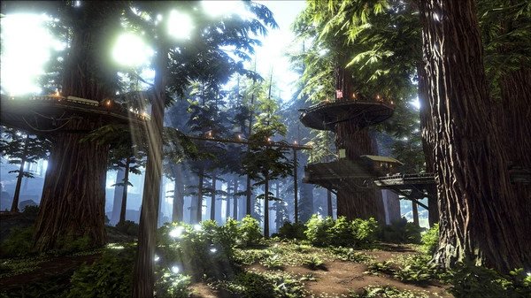Screenshot from ARK: Survival Evolved showing a lush forest with large trees and elevated wooden platforms.