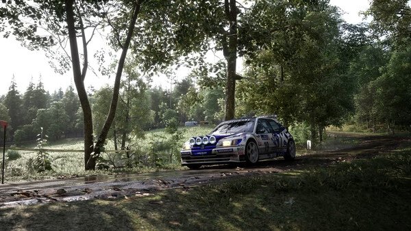A rally car navigates a forest track in a lush, green landscape in this Assetto Corsa Rally game screenshot.