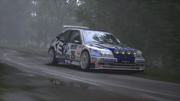 Assetto Corsa Rally screenshot showing a detailed rally car racing through a misty forest on a wet dirt road.