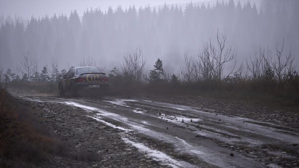 A screenshot from Assetto Corsa Rally showing a rally car driving on a muddy forest trail surrounded by mist and trees.