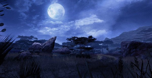 A screenshot from Far Cry 2 showing a moonlit savanna landscape with scattered trees, rocks, and distant hills under a cloudy night sky.