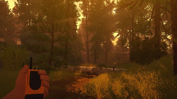 Firewatch screenshot showing a hand holding a walkie-talkie in a serene, sunlit forest with tall trees and grassy terrain.